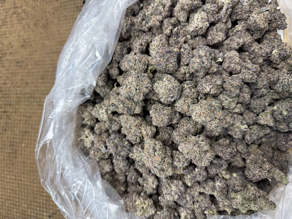 Grape Gas Flower